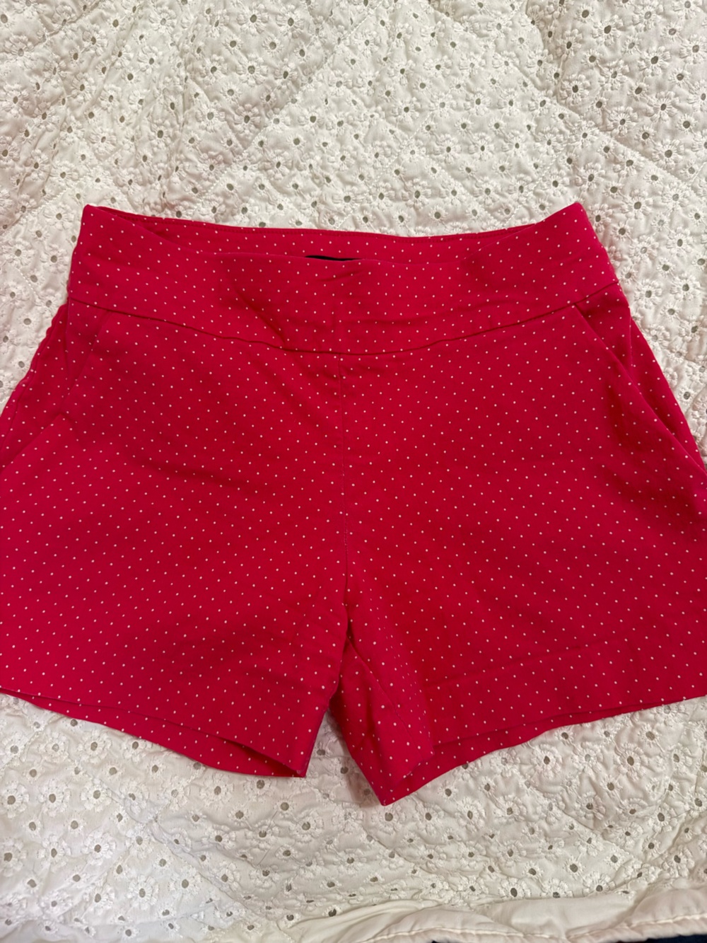 New York & Company Pink Polka Dot Shorts